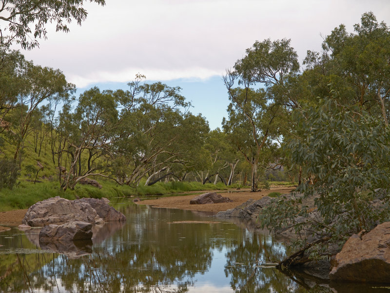 Ellery Creek